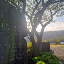 계룡산 갑사자동차야영장 이미지