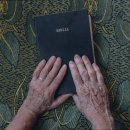 애망요양원 이미지