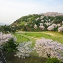 태마당로 이미지