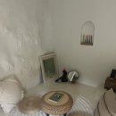 막다른 둥지 이미지