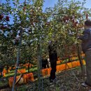 신동읍행정복지센터 이미지