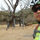 우곡면사무소 이미지