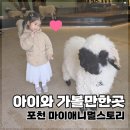 애니멀랜드 | 포천 아이와 가볼만한곳｜마이애니멀스토리 in 평강랜드 아이와 서울 근교 나들이 후기