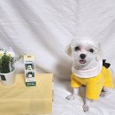 노블덴탈 이미지