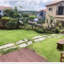 스테이해봄 이미지