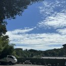 너구리의 피난처 | “여기 숨겨진 맛집?” 금산 너구리의 피난처 솔직 후기