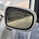 루스터 디테일링 이미지