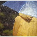 천연제품만들기 이미지