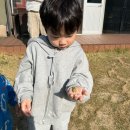 청도군-17 | 청도 하비리조트 럭셔리글램핑 3살,6살 아이랑 다녀온 후기