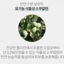 유기농천연화장품