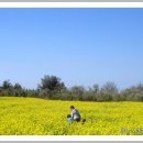 혼저옵서예 이미지