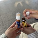 신명문화사 | [대전] 고데기로앞머리태우고30도넘는더위웨이팅한시간반에다가자전거타면서벌레먹는우리첫여행(>'-'<)