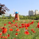 상동호수공원 이미지