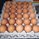 경주농장 이미지