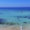 세나쿠룸제주
