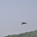남사-5 이미지