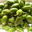 할라피뇨고추 950g.장아찌나 피클 또는 농약대신 사용하실분. 이미지