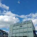 [부산공동어시장 구내식당] :: 부산 서구 부산공동어시장 :: 참고등어정식 맛집 내돈내산 후기