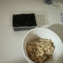 김가네김밥세종 | [서울K마라톤] 하프 코스 후기(pb를 곁들인)