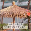 나나애견 이미지