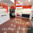 남창애견 이미지