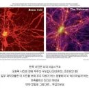 청주전자담배명품샵 이미지