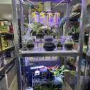 꿈나무 열대어 | 꿈나무열대어 수족관 종류 많은 부산수족관