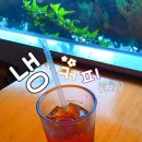 커피바보