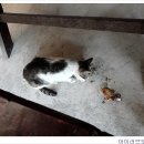 3월 10일 보라카이 날씨 이미지