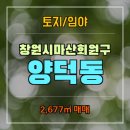 양덕동262 이미지