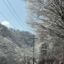 설산농장 | [포천] 서울 근교 나들이 마이애니멀스토리 평강랜드 다녀왔어요 | 주말 방문 후기