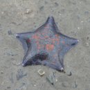 솔섬하우스 이미지