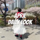 (주)제인팜 | 꼼데가르송 여성용 가디건, 폴로 피마코튼 가디건, 자라 러플 미니 스커트, 캠퍼 브루투스 메리제인 슈즈)