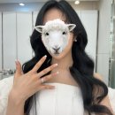 [💍스드메 리뷰] 크리드제이•제니하우스•비마이스튜디오(with컬러인웨딩)