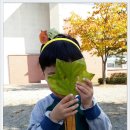남신초등학교 병설유치원 이미지