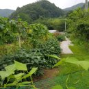 다우농장 이미지