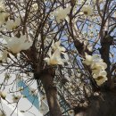 장자호수공원 생태체험관 이미지