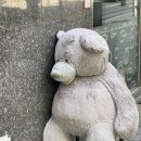 다복소프트 이미지