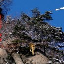 하늘 빛 꿈 이미지