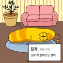 8월의 집착광공