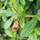 해돋이마을 이미지