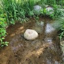 냇강쉼터 이미지