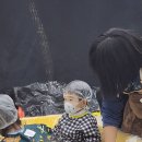 파레트팡 티스토리