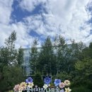 자작나무 - 전주시 완산구 문학로 11 | 용인 자작나무숲 후기 도심 속에서 만난 감성 힐링 공간