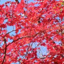 팔공노인복지관 이미지