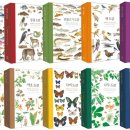 자연일기-2 이미지