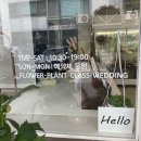 [서울 양천] 목동 꽃집 시즈널모먼트플라워스튜디오 스승의날 꽃다발 선물 후기