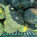 부남농장 이미지