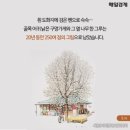 동네구멍가게 - 양평군 강남로 1041 | 동네구멍가게