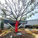 완도의 맛집 | [완도 맛집] 신지 해양치유센터 1층 '두식이네해물' 전복돌솥밥 솔직 후기!